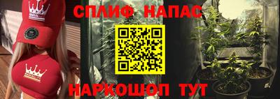гидра Мариинск