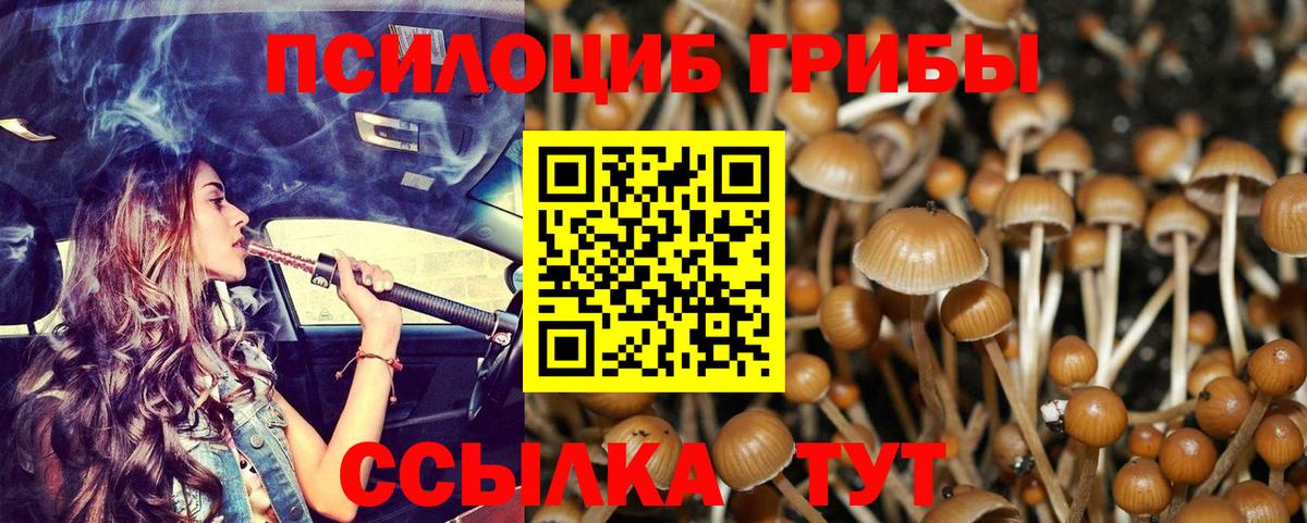 Галлюциногенные грибы Magic Shrooms Горячий Ключ