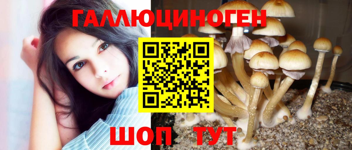 Горячий Ключ  Галлюциногенные грибы Cubensis  Вход с VPN 
